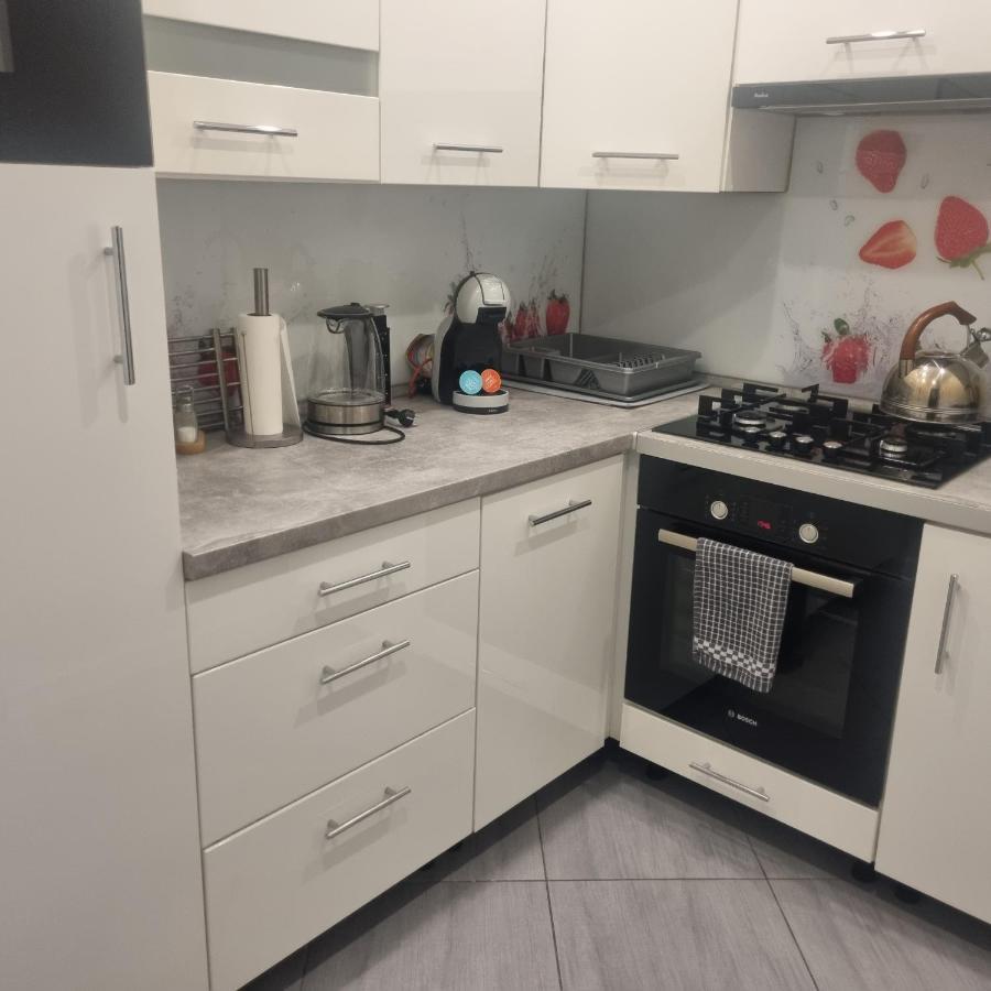 Noclegi Family Apartments Hotel Apartamenty Raciborz Bagian luar foto